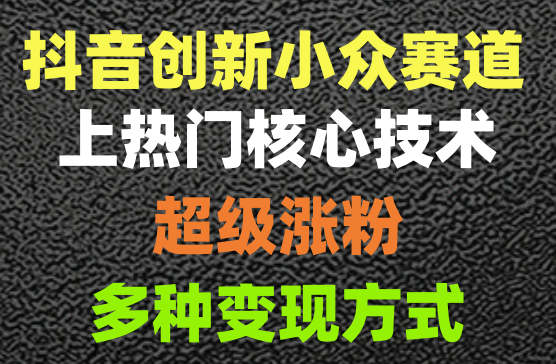 2024抖音创新小众赛道上热门核心技术，超级涨粉，多种变现方式