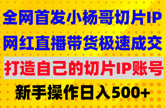 全网首发小杨哥切片IP3.0，日入500+，保姆级教学，小白可做